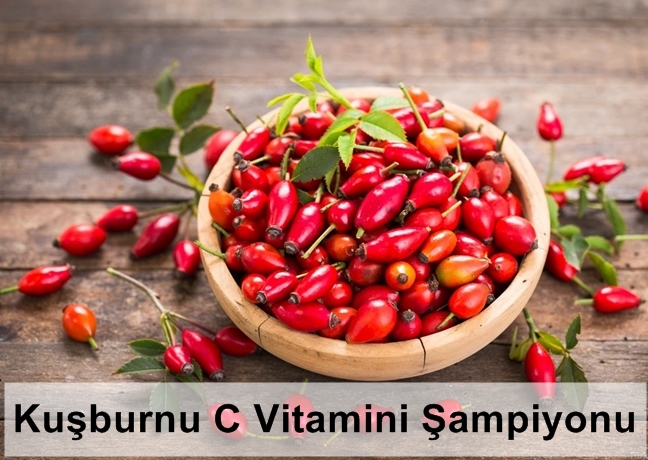 Kuşburnu C Vitamini Şampiyonu